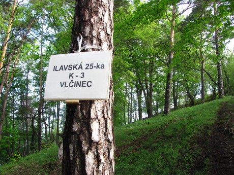 Ilavská 25ka - Vlčinec (1)