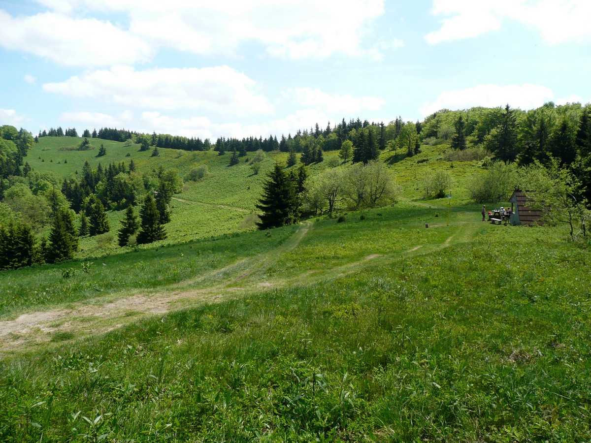 P1050387.JPG