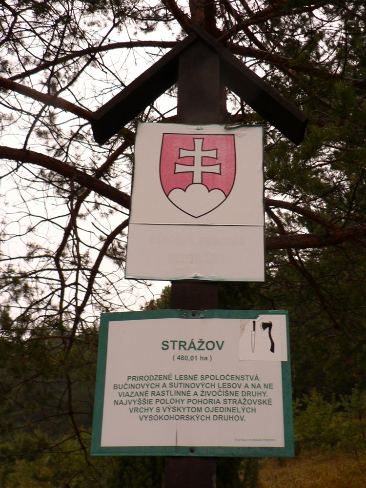 P1230852