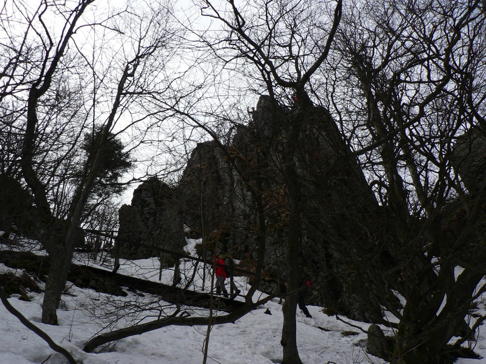 P1240619