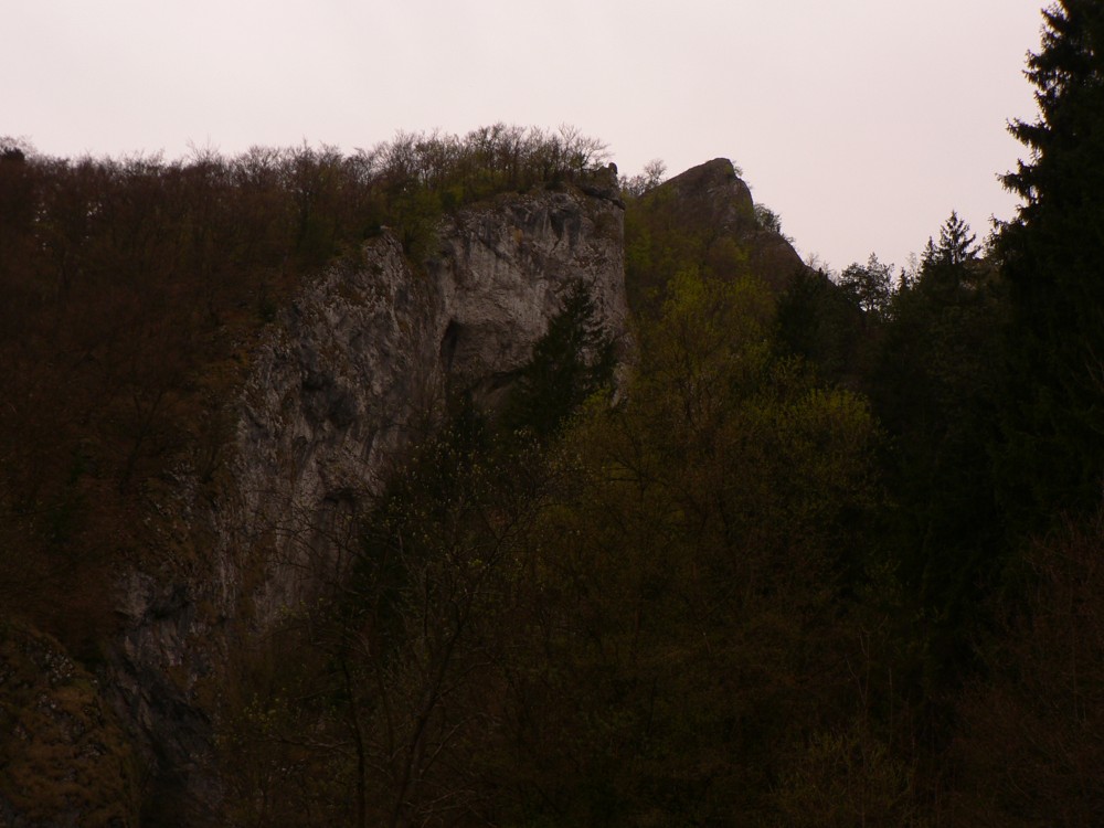 P1290398