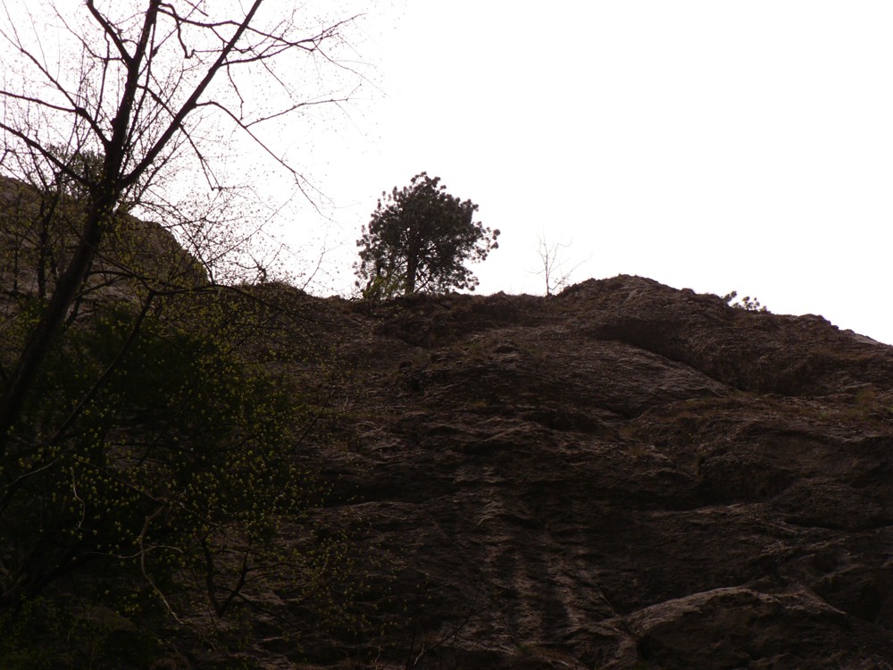 P1290403