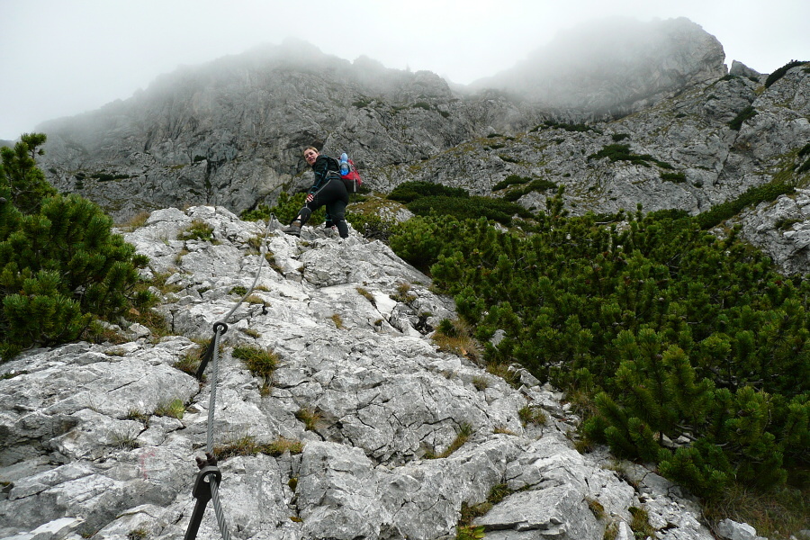 Raxalpe - Preinerwand Steig (5)