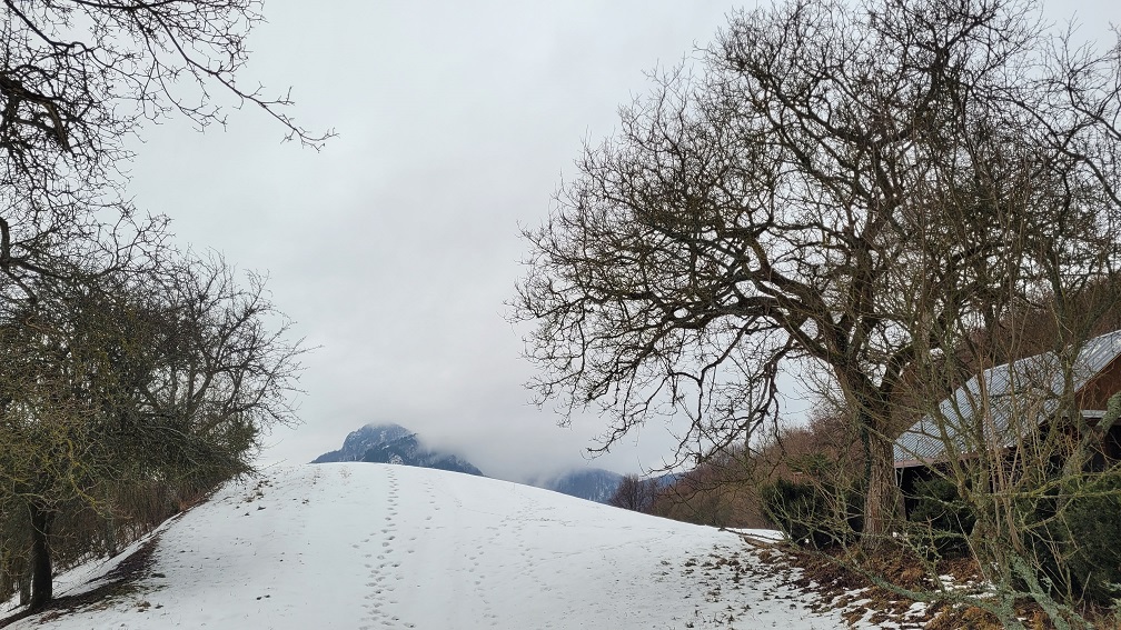 Mikušovske skalice (5)