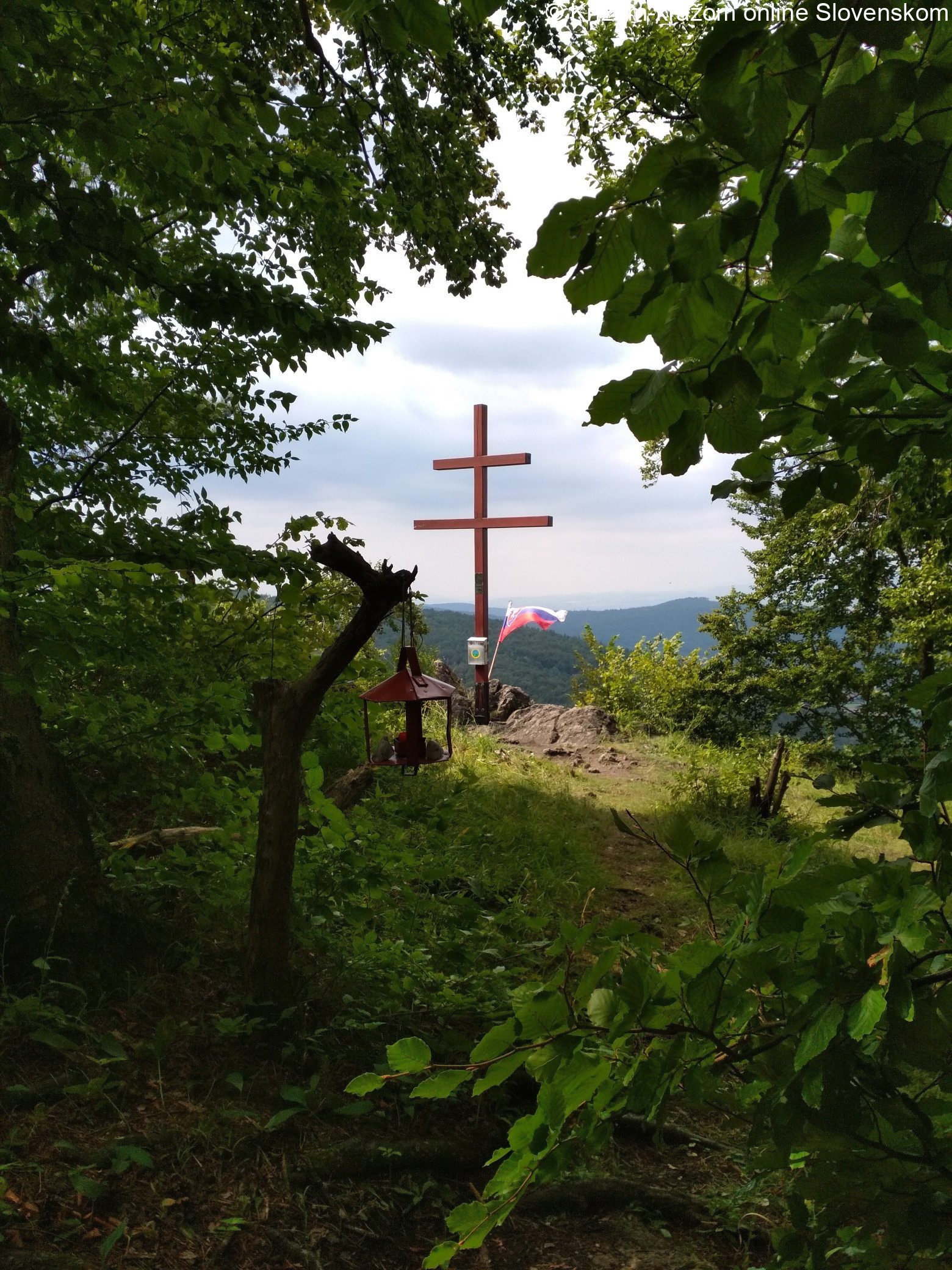 markovica-2.jpg
